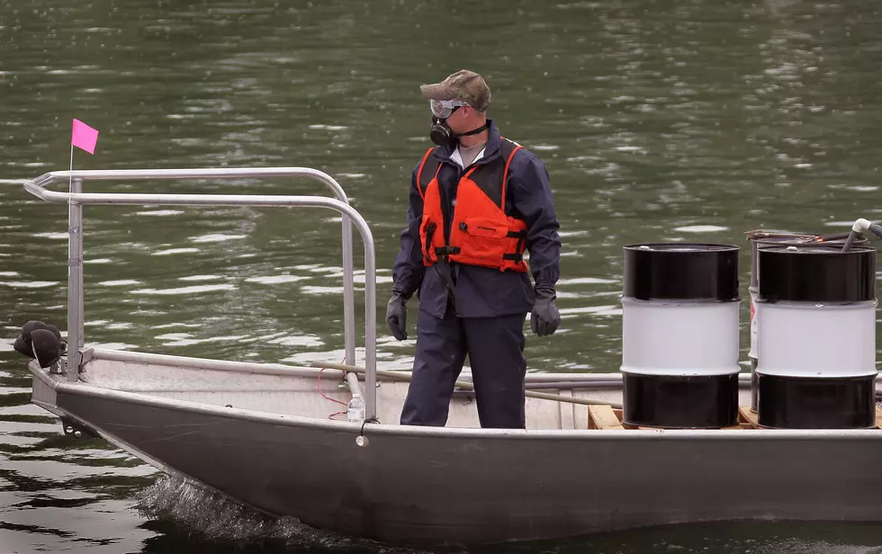 Effort to Keep Asian Carp From Great Lakes Appears Stymied