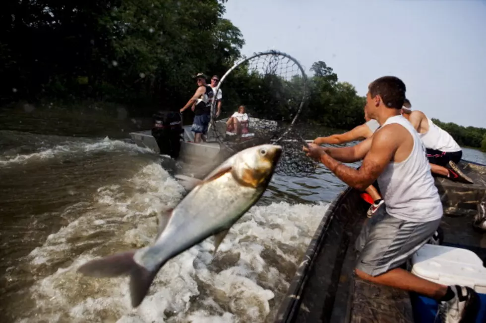 In Illinois, Summer Time is &#8220;Skarping&#8221; Time