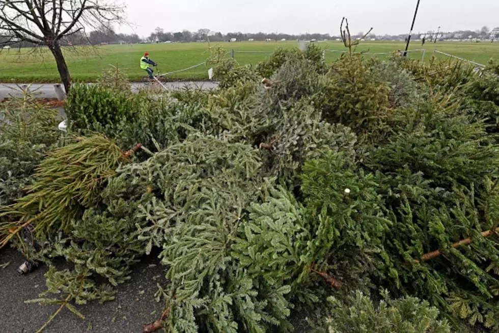 These Are The 13 Christmas Tree Recycling Locations You Should Use