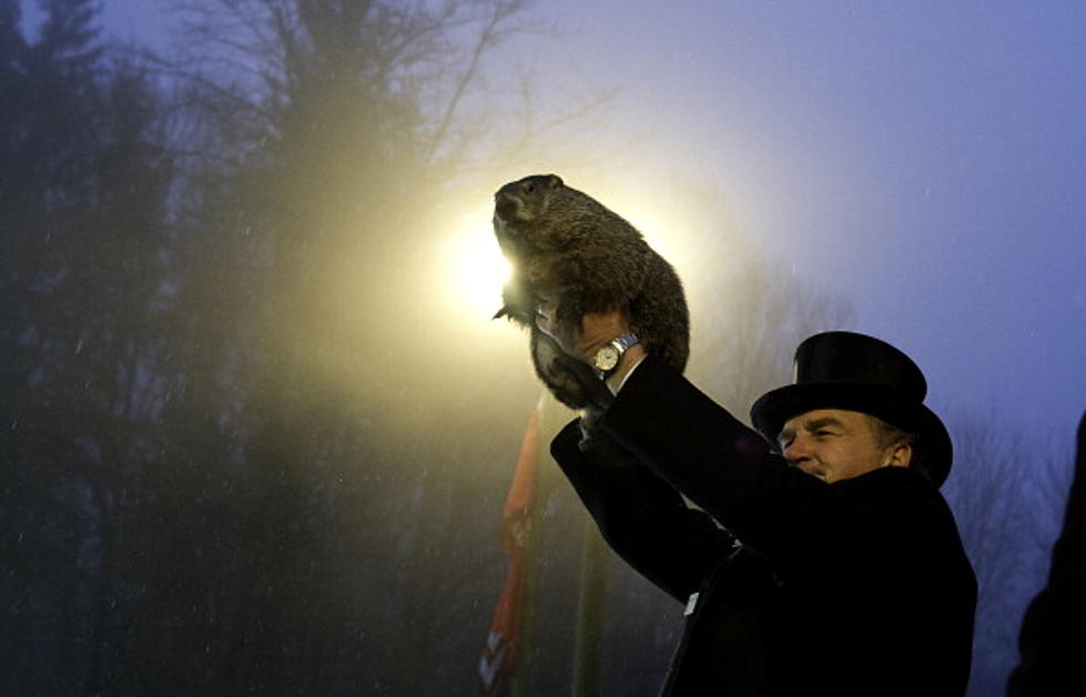 Flashback: Midwest Groundhogs Are Cranky When Awakened