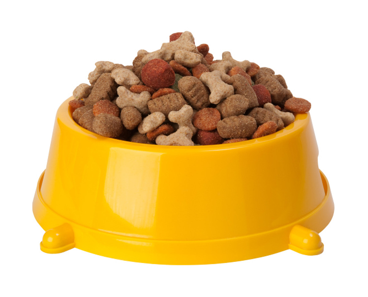 Midwestern Pet Food Issues Recall For Salmonella