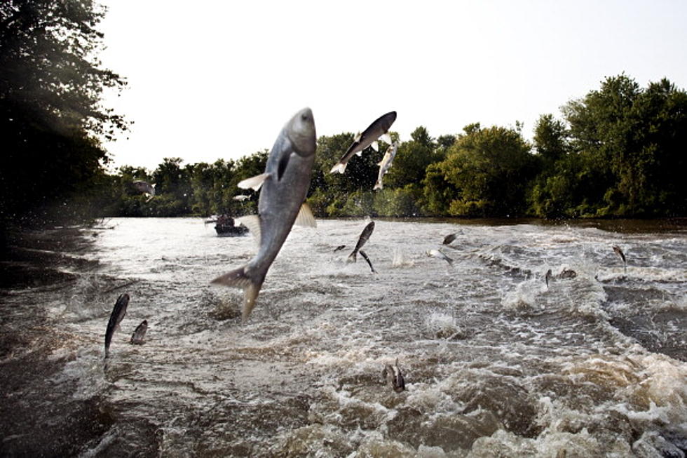 Want to Earn $1,000,000? Stop These Guys From Reaching the Great Lakes