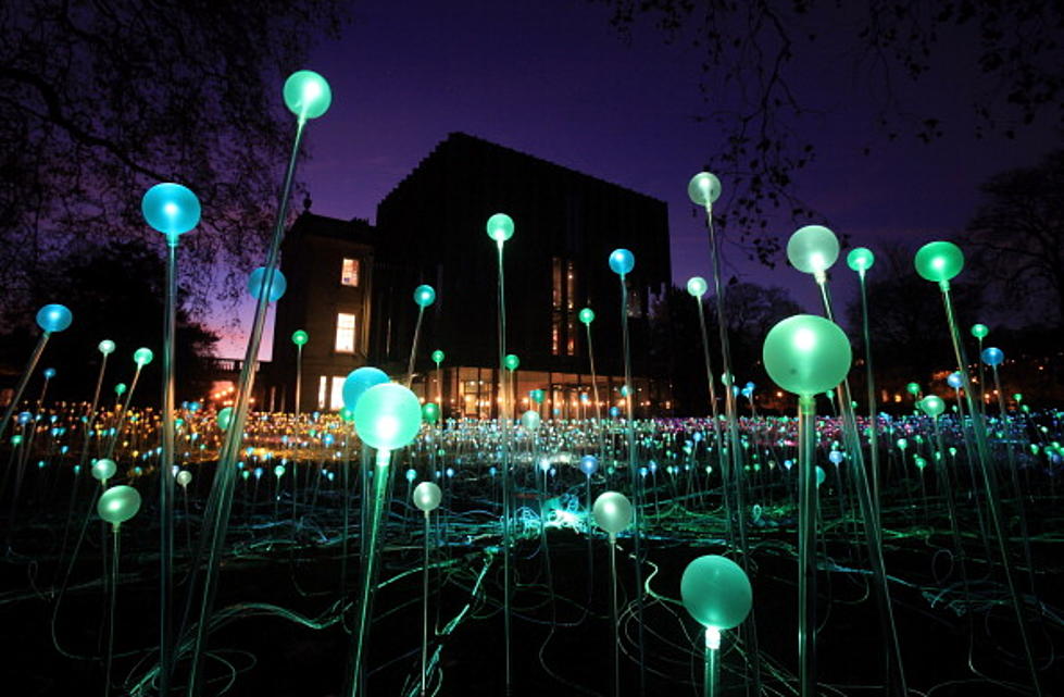 Nicholas Conservatory and Gardens is Looking for Volunteers for “Bruce Munro–Light”