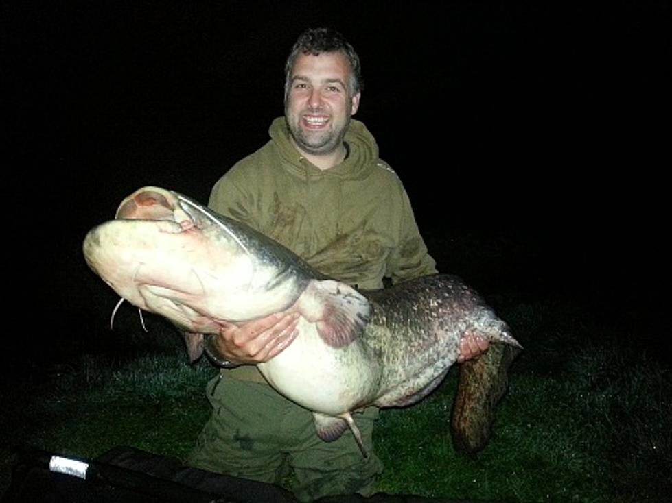 It Turns Out That Illinois Doesn’t Have Budget Problems–We Have Catfish Problems