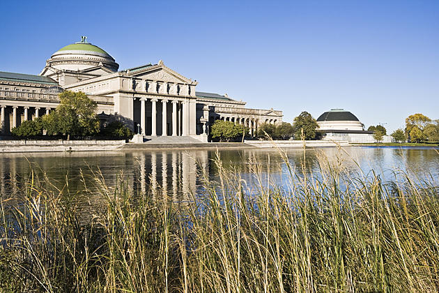 Museum of Science And Industry Is Getting a New Name