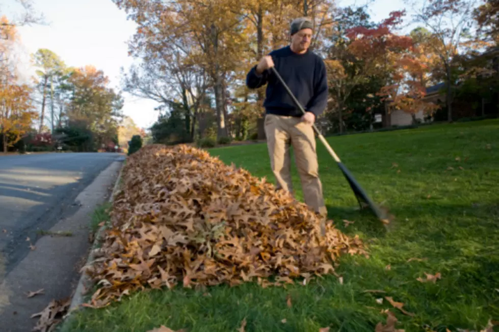 Great News. We Have Found An Excuse To NOT Rake Leaves This Fall