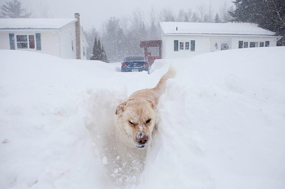 I'll Take '#Snow in 4 Words' for 500, Alex