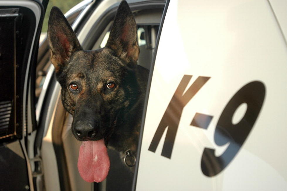 Donation To Keep K9 Safe