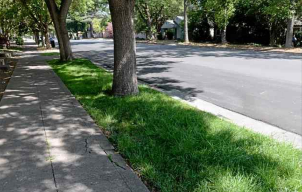 What Do Illinoisans Call That Strip Of Grass In Your Front Yard?