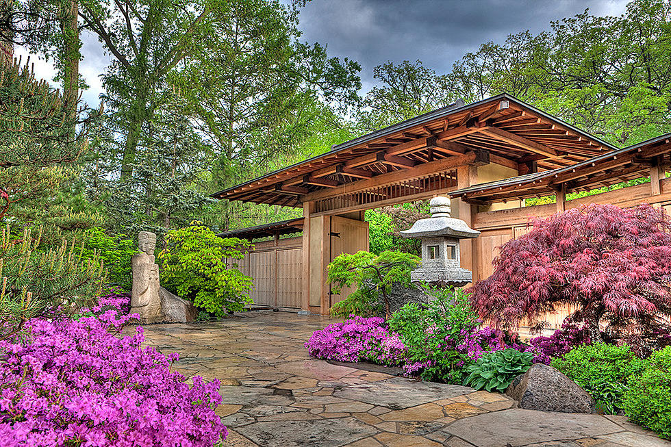 Anderson Japanese Gardens Could Use Your Help