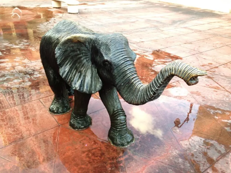 Vandal Destroys Northlake, Illinois Elephant Landmark