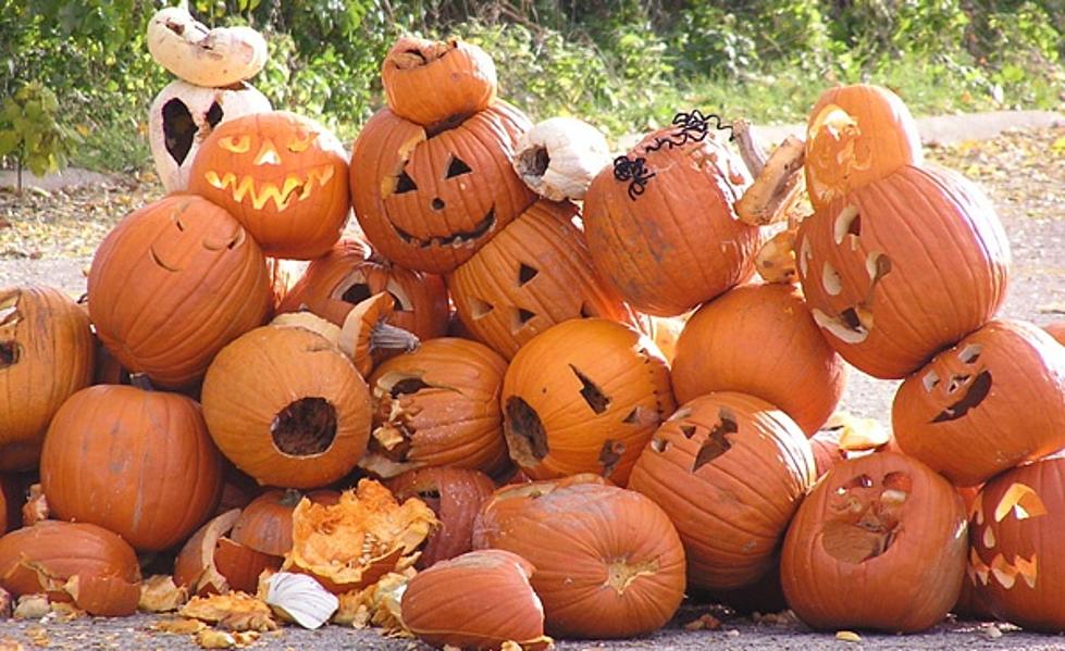 Discovery Center Has The Best Way To Get Rid Of Your Pumpkin