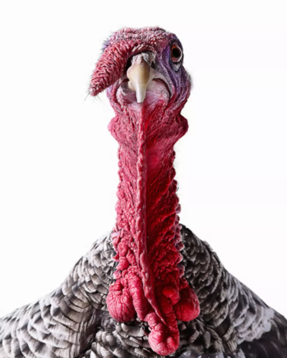 Jennie-O Turkey Products Recalled Due To Salmonella Concerns
