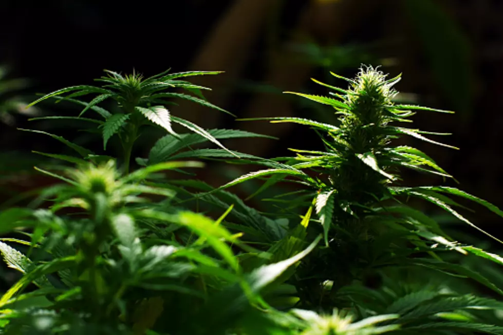 Pritzker: Legalize Recreational Marijuana ‘Nearly Right Away’
