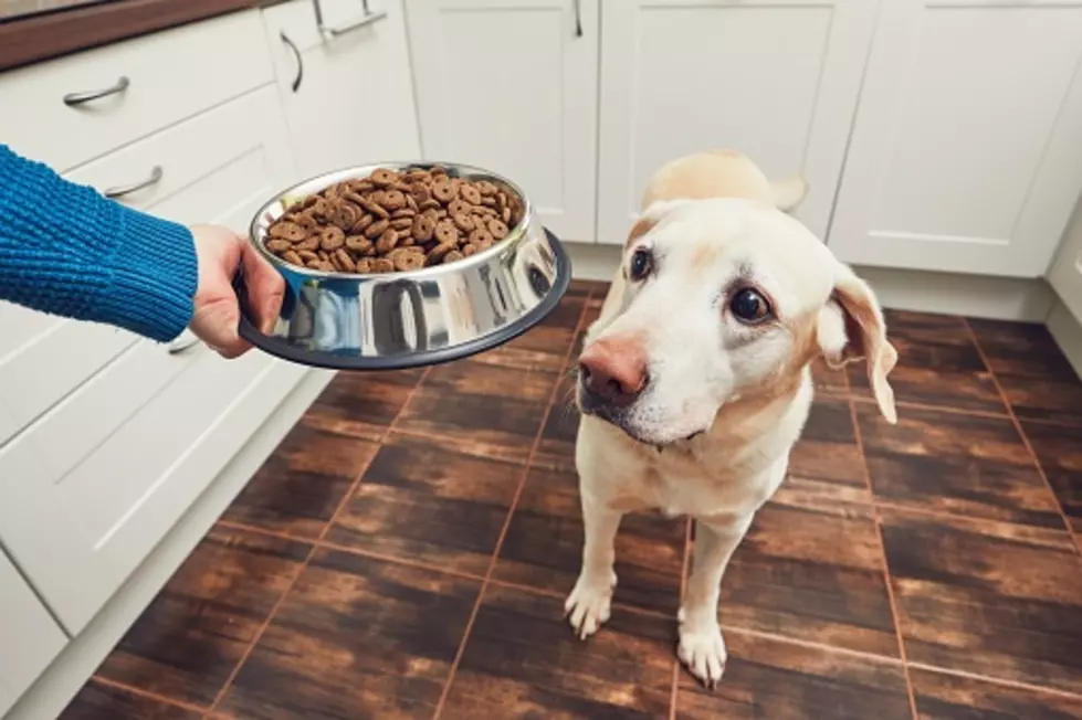 FDA Recalls 9 Brands of Dry Dog Food For Toxicity