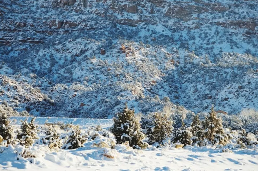 Record-Breaking Snowfall Leaves Arizonans Confused