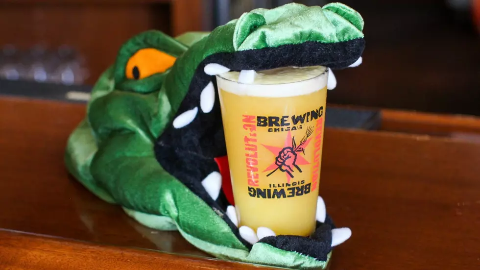 Chicago Brewery Is Releasing A ‘Humbolt Gator’ Beer