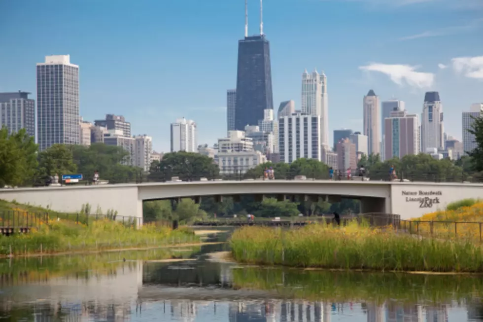 Chicago&#8217;s Lincoln Park Zoo Stays Free Until 2050