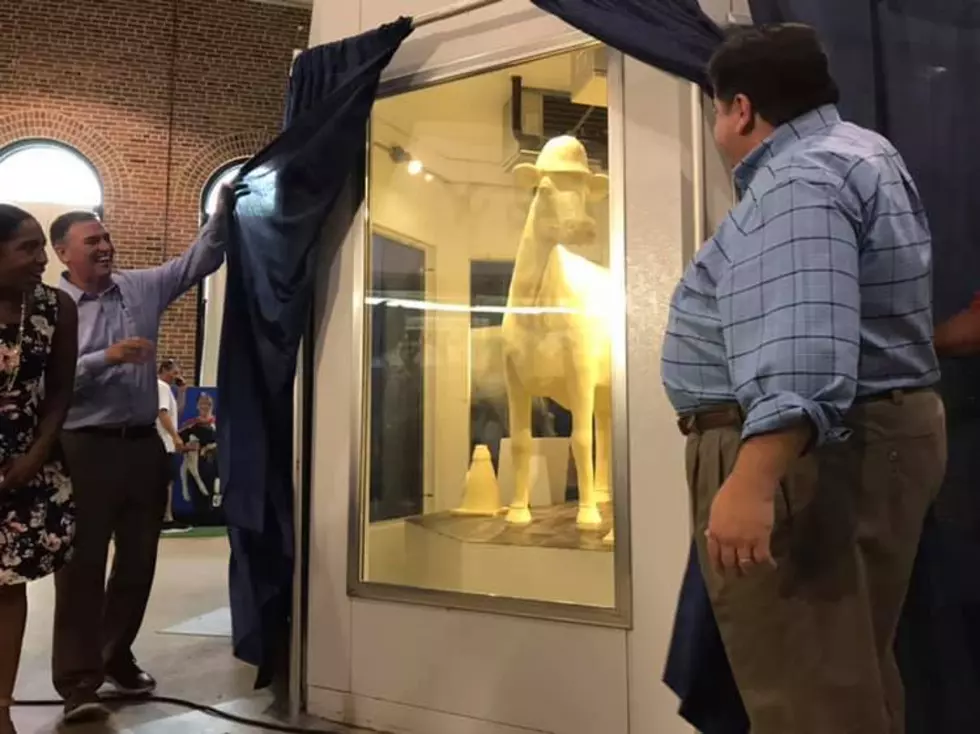 Illinois State Fair Shows Off 800 Pound Butter Cow