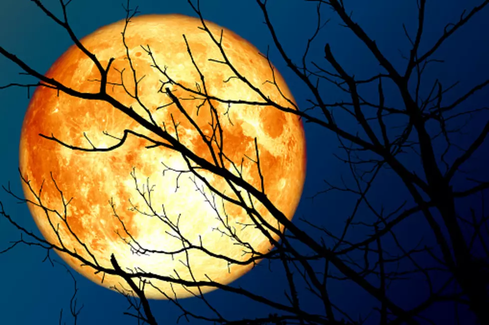 There’s A Full Moon Tonight For Friday The 13th