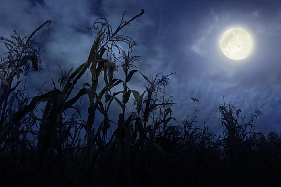 There’s A Full Moon Tonight For Friday The 13th