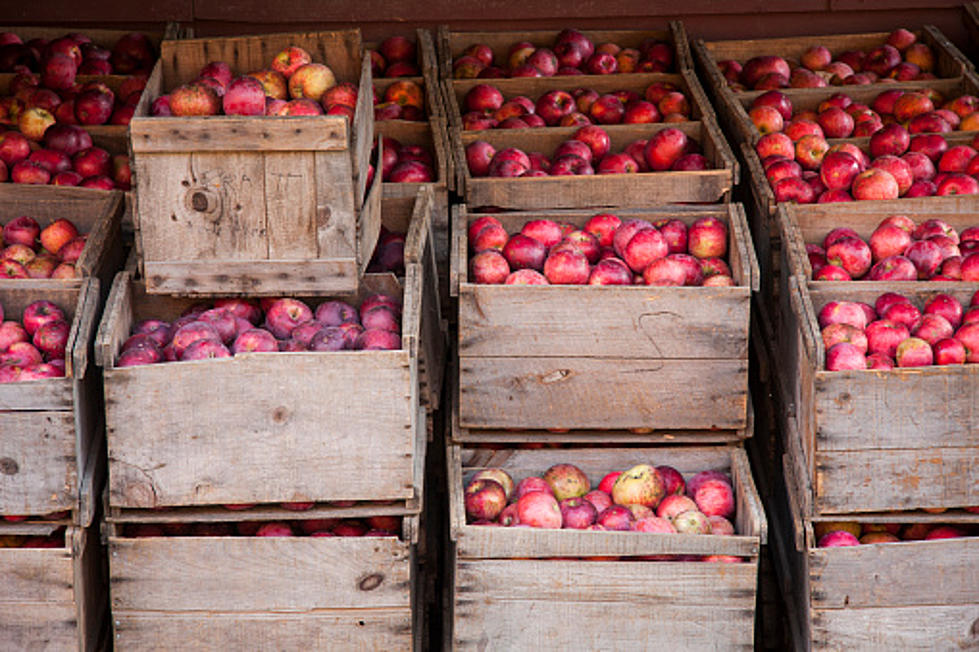 Peoria Food Bank Receives Massive Donation Of Apples