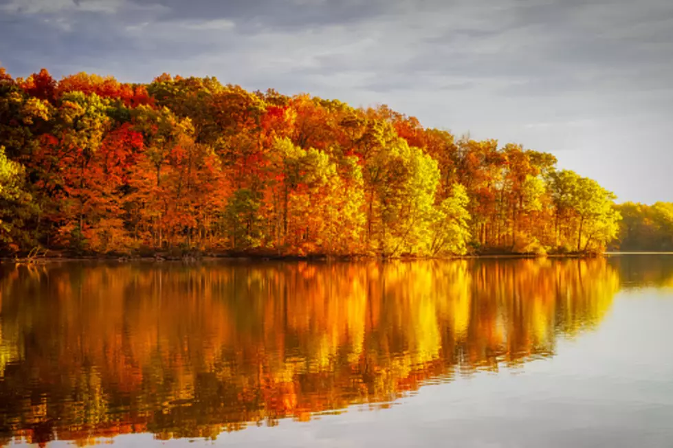 These Spots Are Illinois Best For Seeing Fall Colors