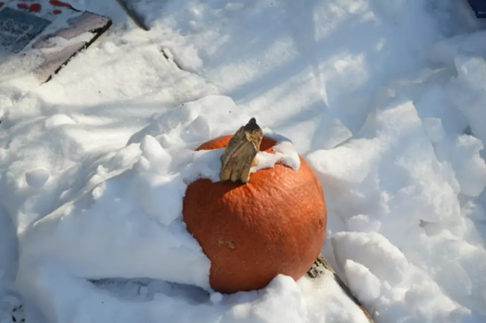 Twitter Reacts To The Midwest’s Halloween Snowstorm