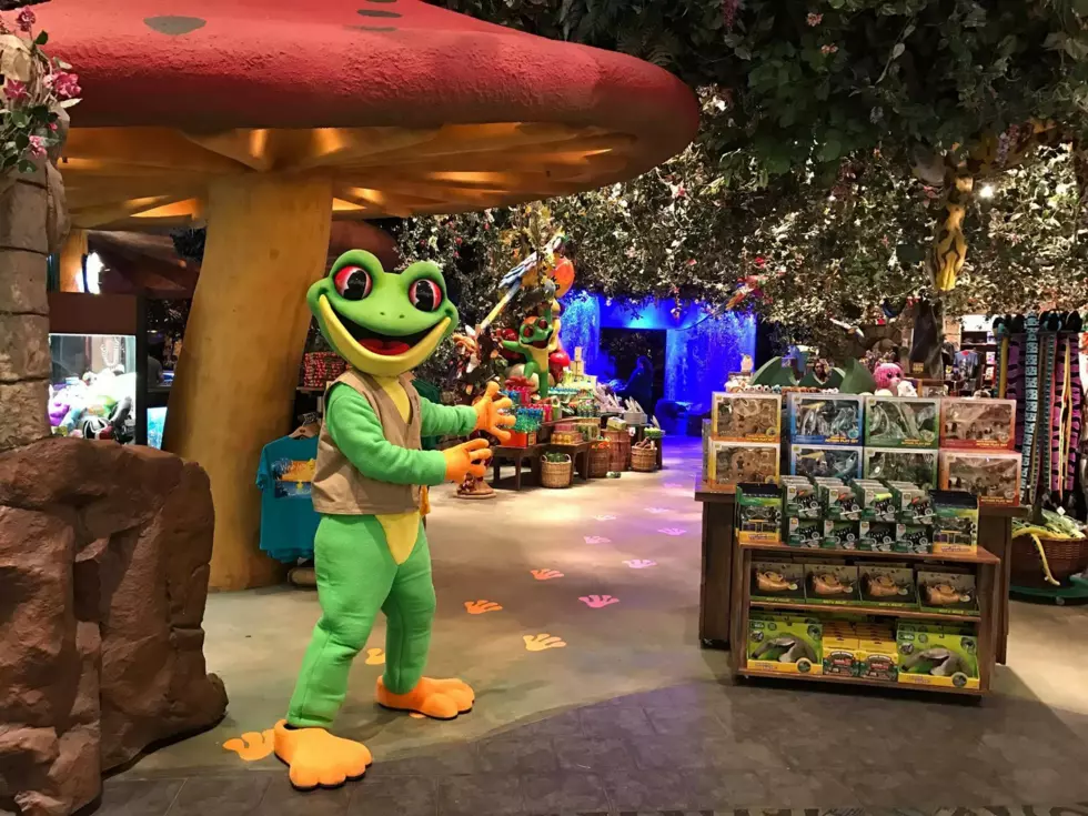 Chicago Might Be Losing the Rainforest Cafe