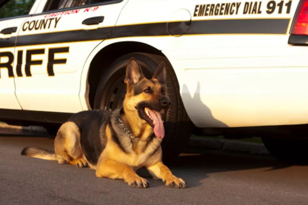 Heartwarming Video Shows Arizona K-9 Officer&#8217;s Retirement