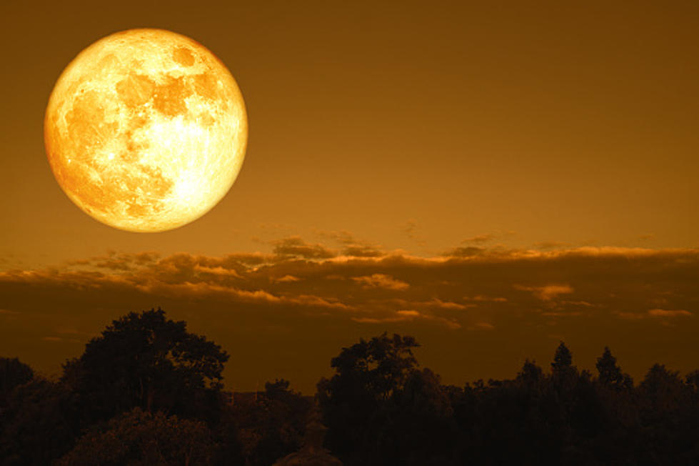 “Super Worm Moon” To Light The Skies Sunday and Monday