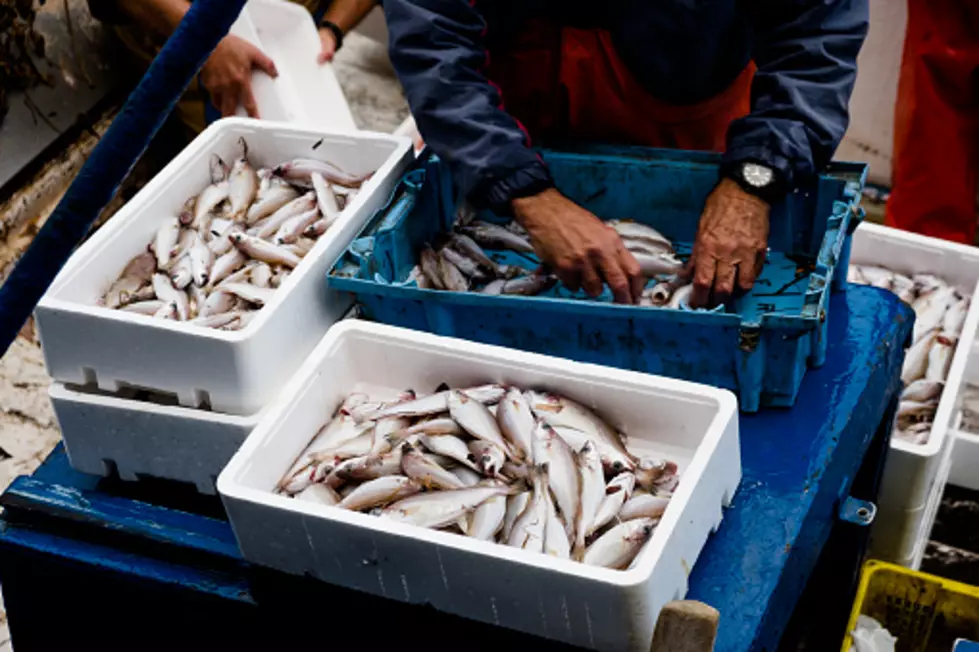 Record For Most Fish Caught In 24 Hours Set In Illinois