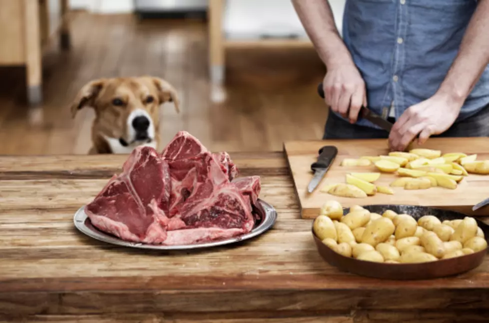 U of I Study Suggests Feeding Your Dog Human Food