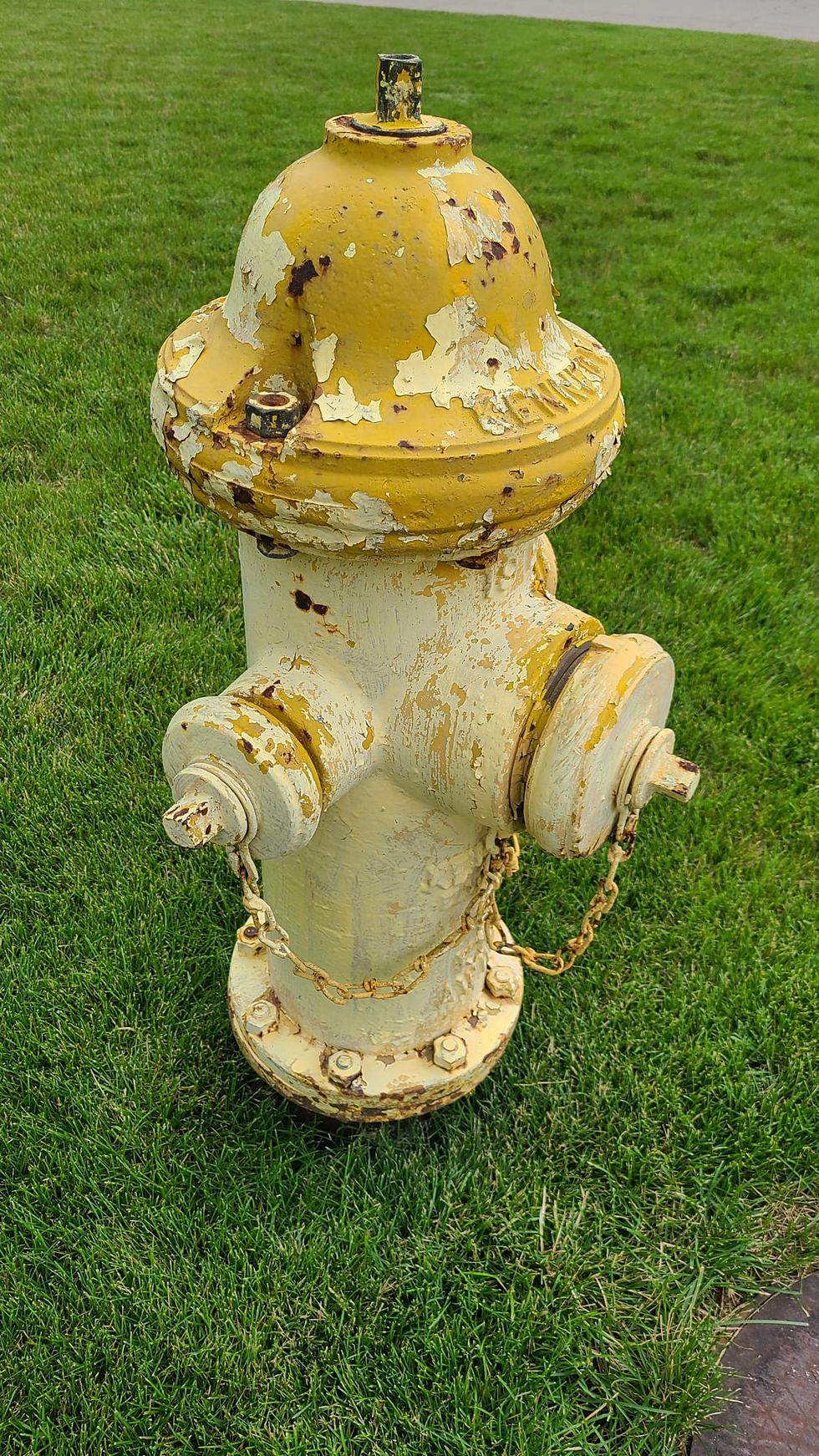 Can Rockford Residents Paint The Fire Hydrant In Their Yard?
