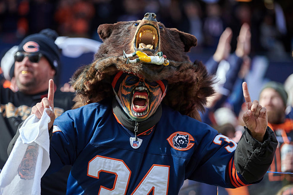 Survey Names Chicago Bears Fans As Being Among The Booziest