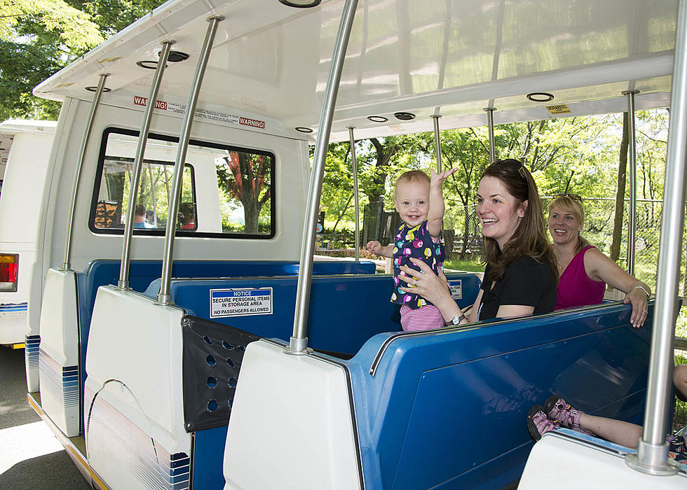 The Motor Safari Returns To Brookfield Zoo, AKA The BEST Way To See Some Animals