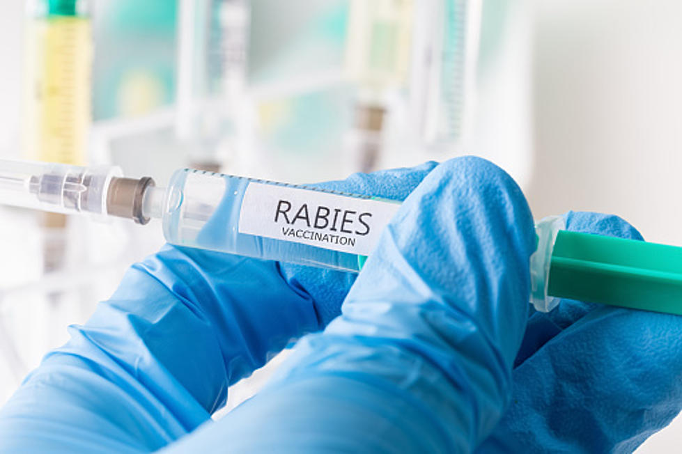 Illinois Man Dies From Rabies, First Case Since 1954