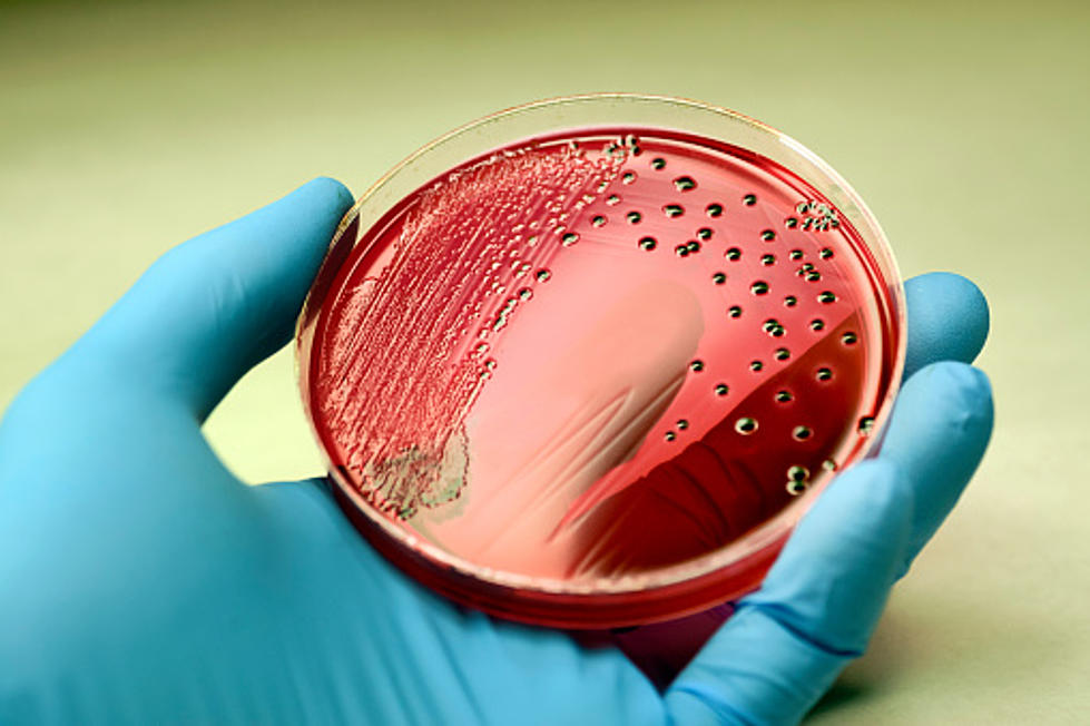 Illinoisans Sickened Due To A Multi State Salmonella Outbreak