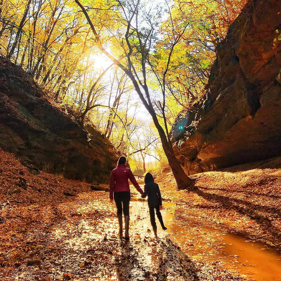 State Of Illinois Releases Fall Colors Guide For Leaf Lovers