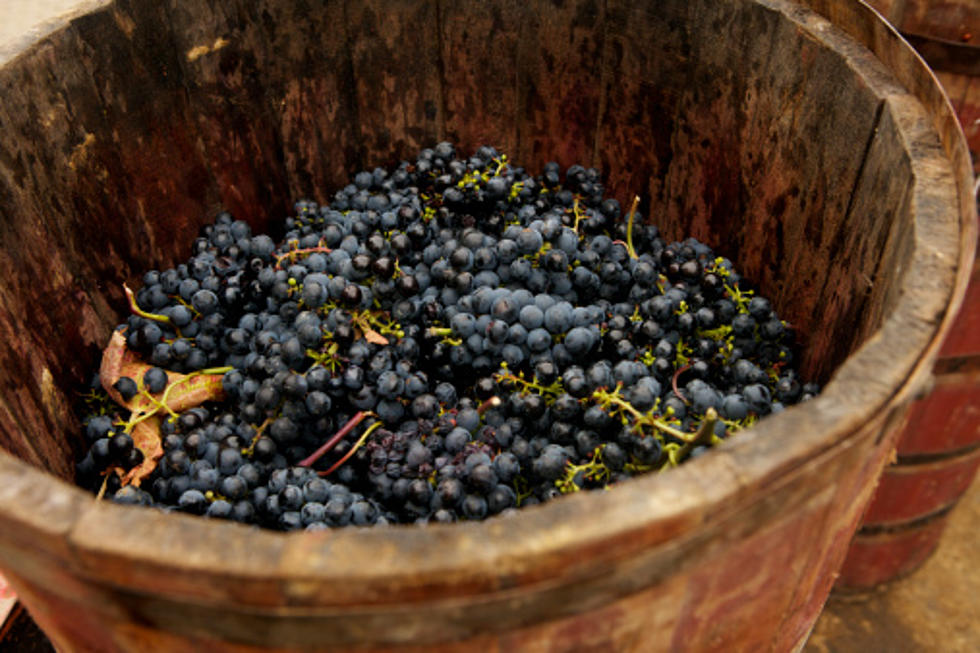 Raise Your Glass, Illinois Has More Wineries Than You Might Think