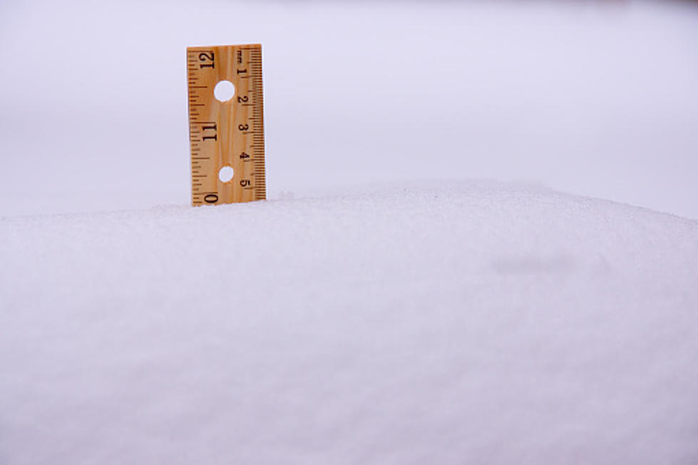 Check Out Illinois’ Snowfall Numbers From Wednesday’s Storm