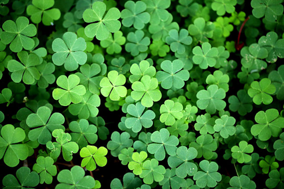 2 Illinois Cities Ranked Among The Best For St. Patty’s Day Fun