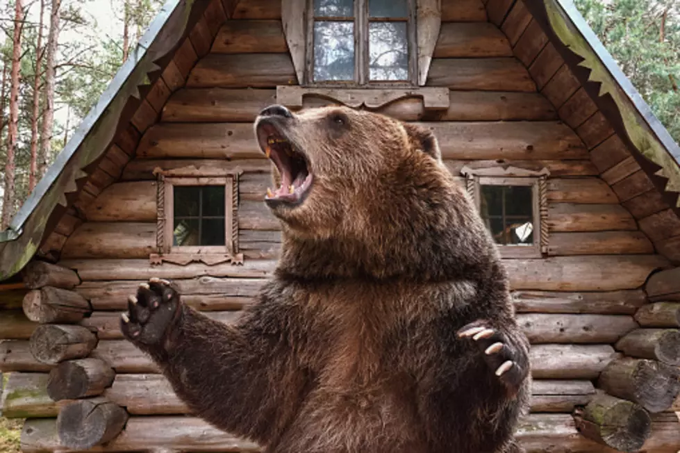 Video of Bear Entering Wisconsin Families Home, While They Slept. Porridge?