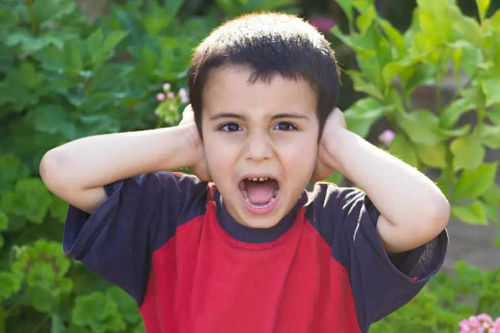 Here’s The Reason Rockford’s Crickets And Cicadas Are So Loud Lately