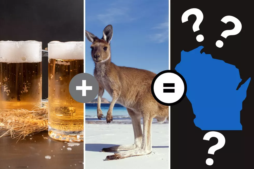 Drinking Beers And Owning Kangaroos, It&#8217;s What Wisconsin Does