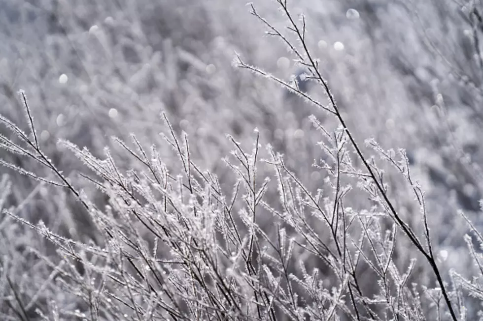 When Will Northern Illinois See More Rime Ice?