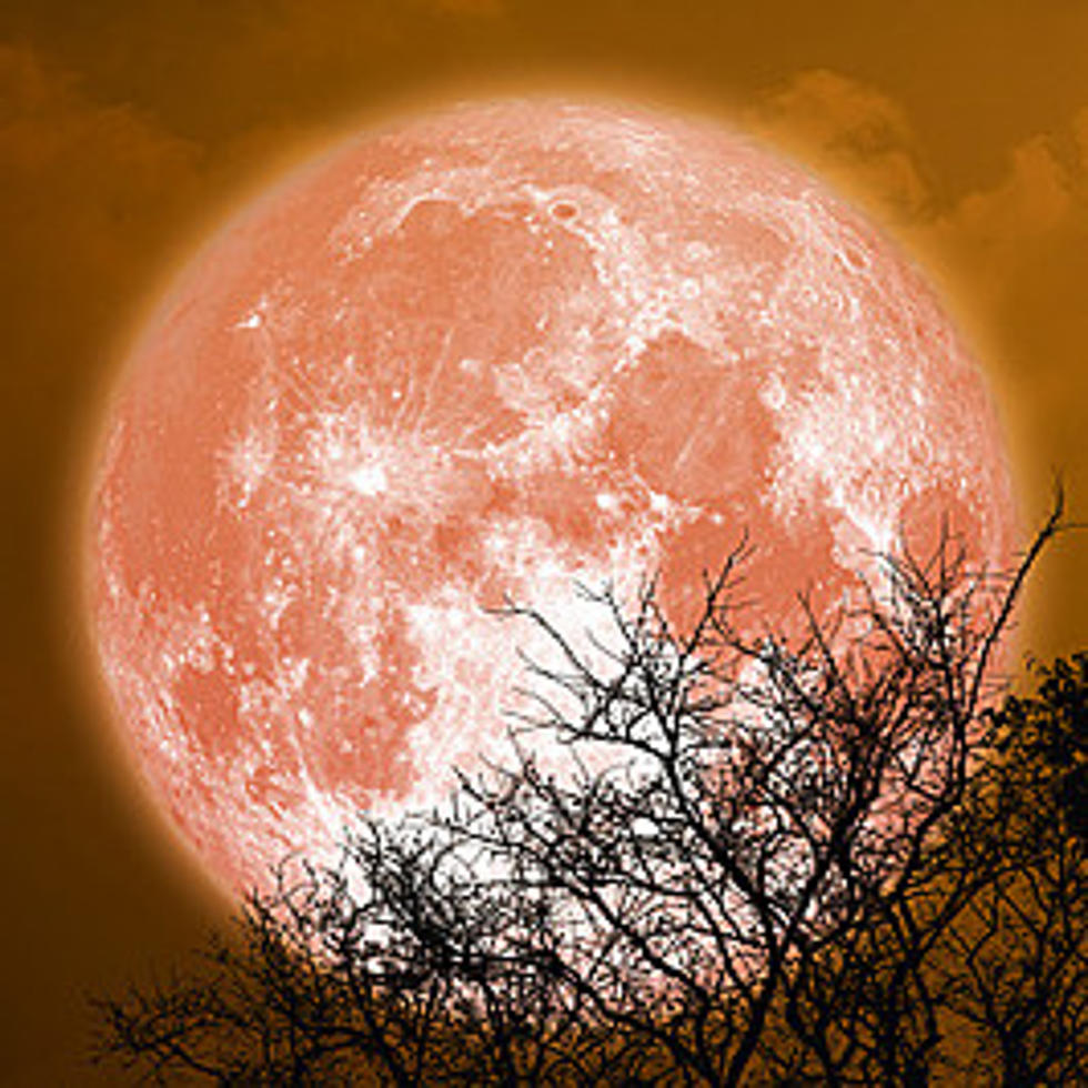 Illinois Look Up: The Last Super Moon Of 2023 Is This Week