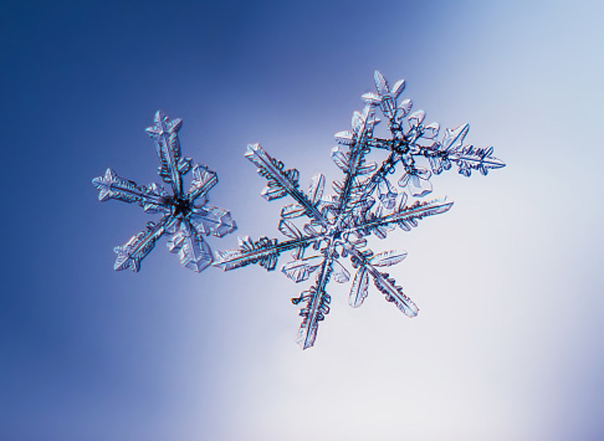 Snowflakes are shape-shifters, changing with temperature, moisture