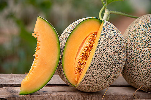 Honeydew vs Cantaloupe: What's the Difference? - A-Z Animals