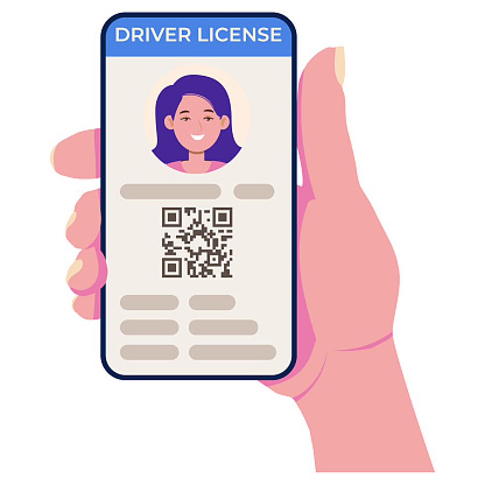 It&#8217;s 2024, When Will Illinois Switch To Digital Licenses?